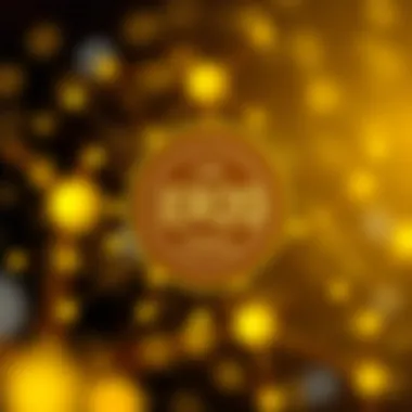 Conceptual diagram of ERC20 token structure