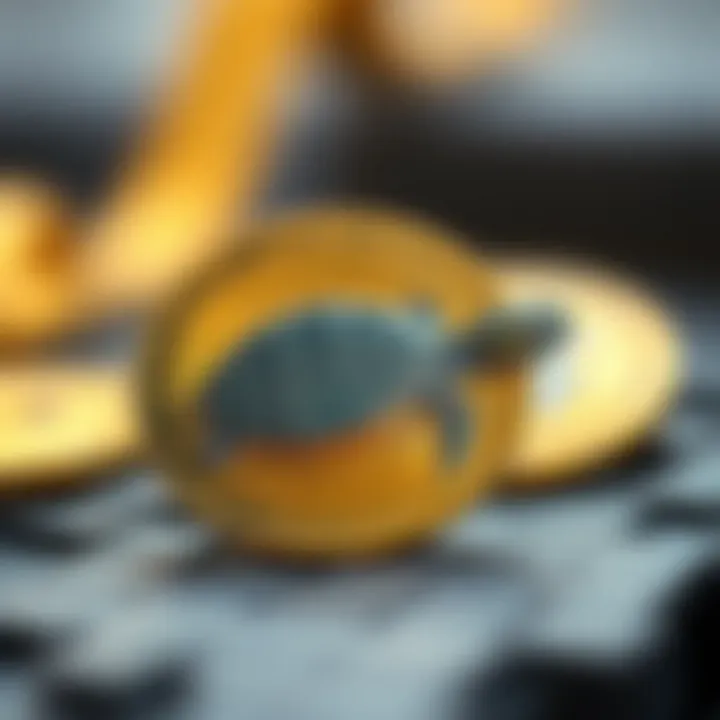 Comparative analysis of Turtle Coin and other cryptocurrencies