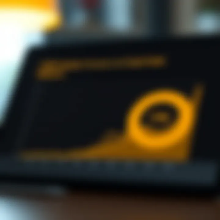 Chart depicting the relationship between valuation processes and digital asset relevance